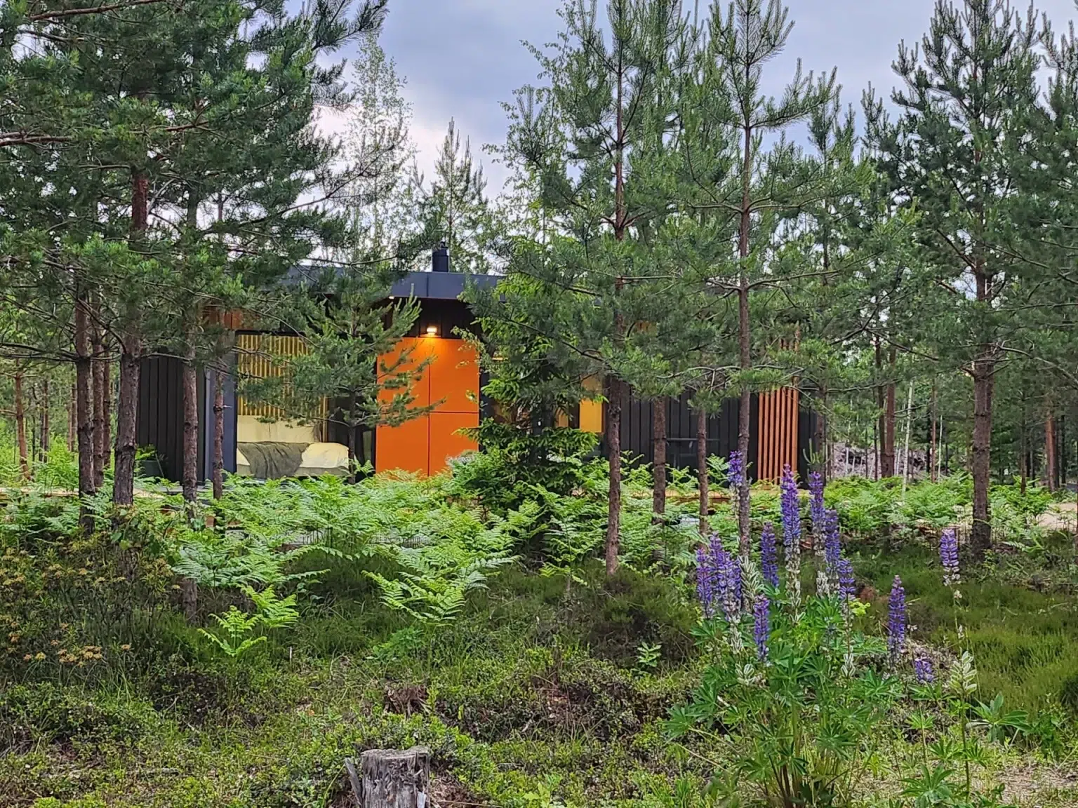 ForRest Sauna Lodge - ForRest Glamp