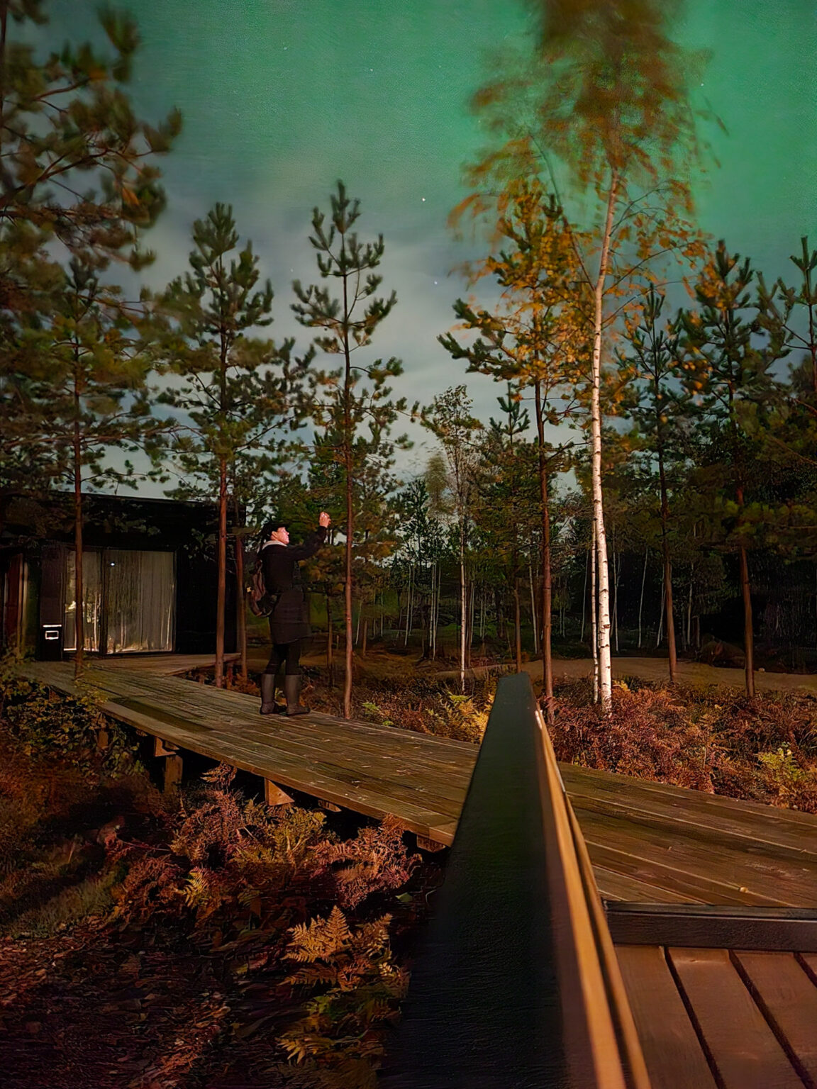 Alojamiento frente a la playa ForrestGlamp, Saulkrasti - Forrest No.5