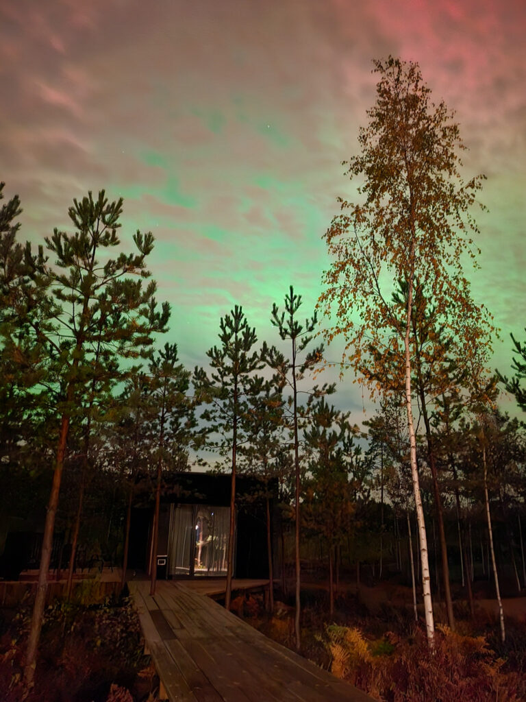 ForrestGlamp rannaäärne majutus, Saulkrasti - Forrest No.5