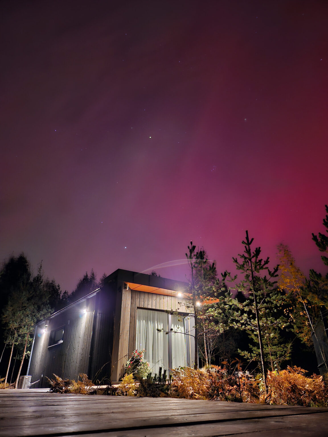 Alojamiento frente a la playa ForrestGlamp, Saulkrasti - Forrest Sauna Lodge