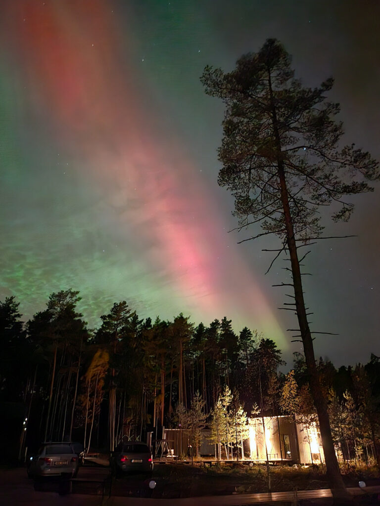 ForrestGlamp rannaäärne majutus, Saulkrasti - Tiny House