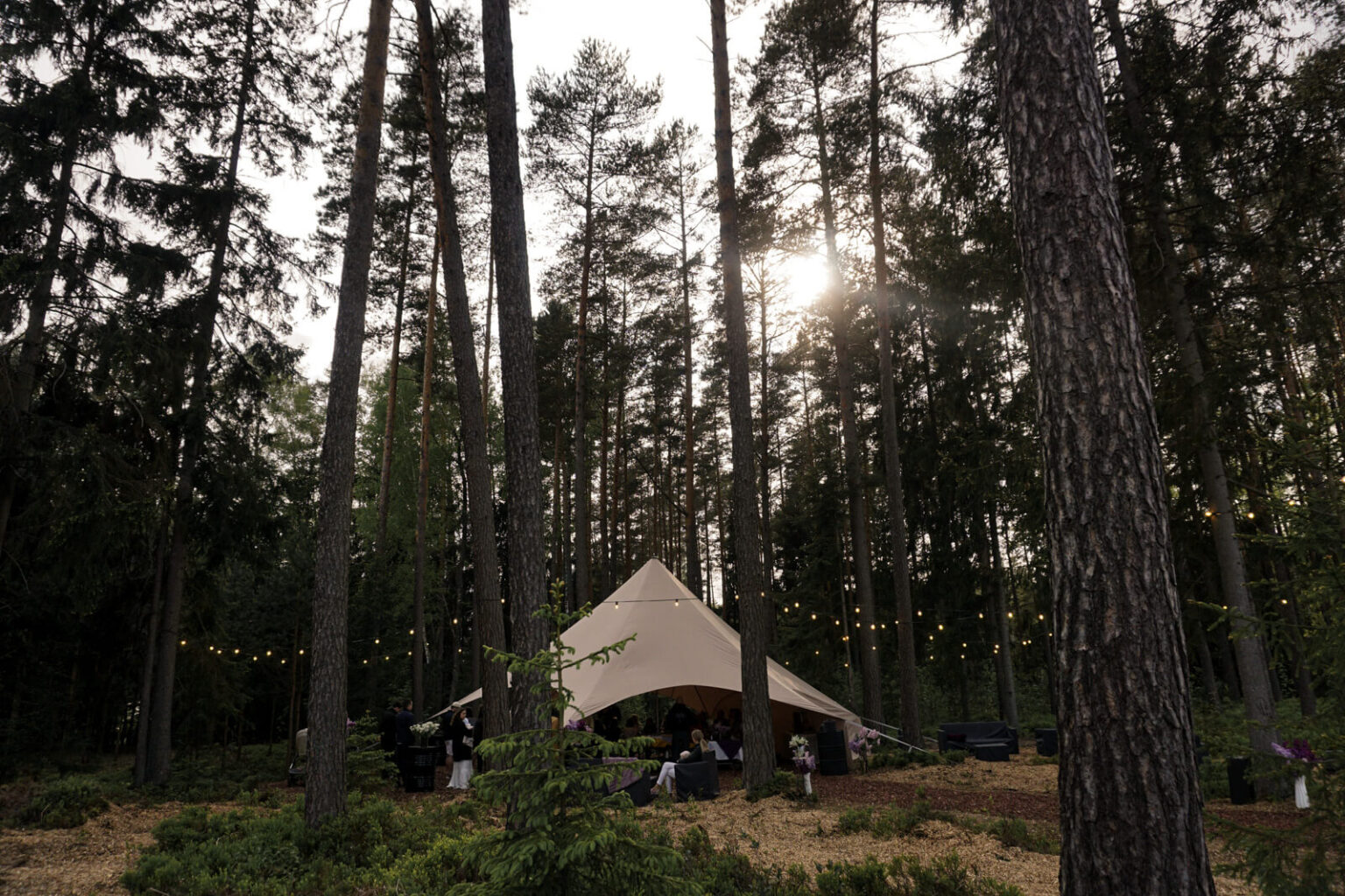 ForrestGlamp viesu nams Saulkrasti - vieta svinībām saulkrasti-10