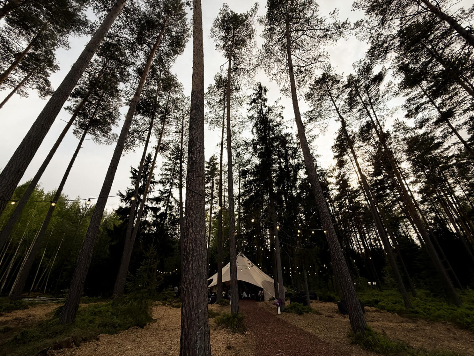 ForrestGlamp viesu nams Saulkrasti - vieta svinībām saulkrasti-11