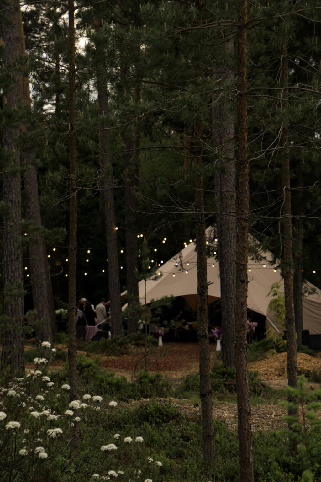 ForrestGlamp viesu nams Saulkrasti - vieta svinībām saulkrasti-12