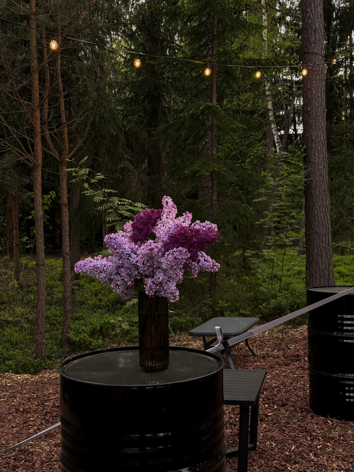 ForrestGlamp viesu nams Saulkrasti - vieta svinībām saulkrasti-14