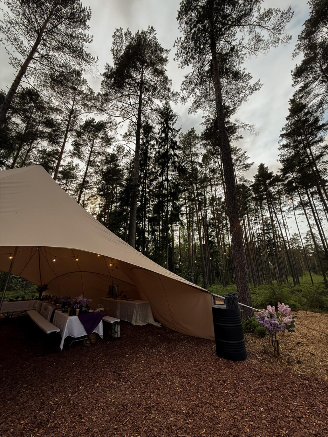 ForrestGlamp viesu nams Saulkrasti - vieta svinībām saulkrasti-15