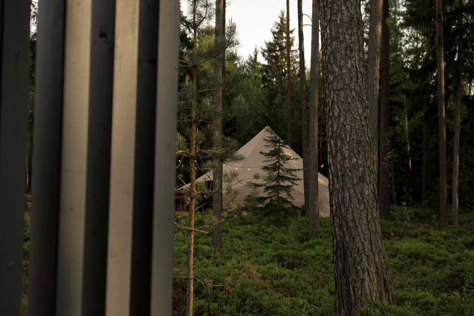 ForrestGlamp viesu nams Saulkrasti - vieta svinībām saulkrasti-22