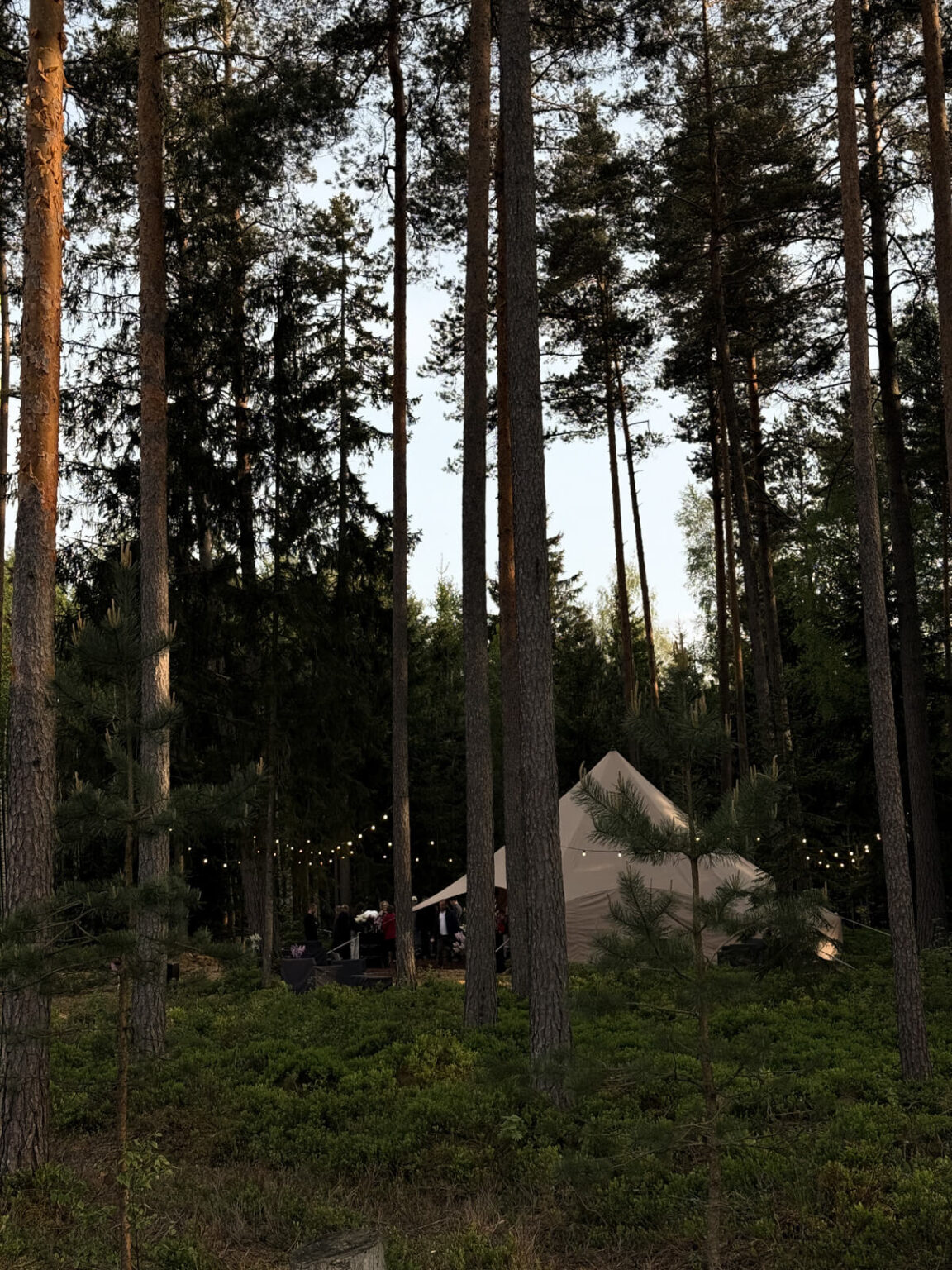 ForrestGlamp viesu nams Saulkrasti - vieta svinībām saulkrasti-23