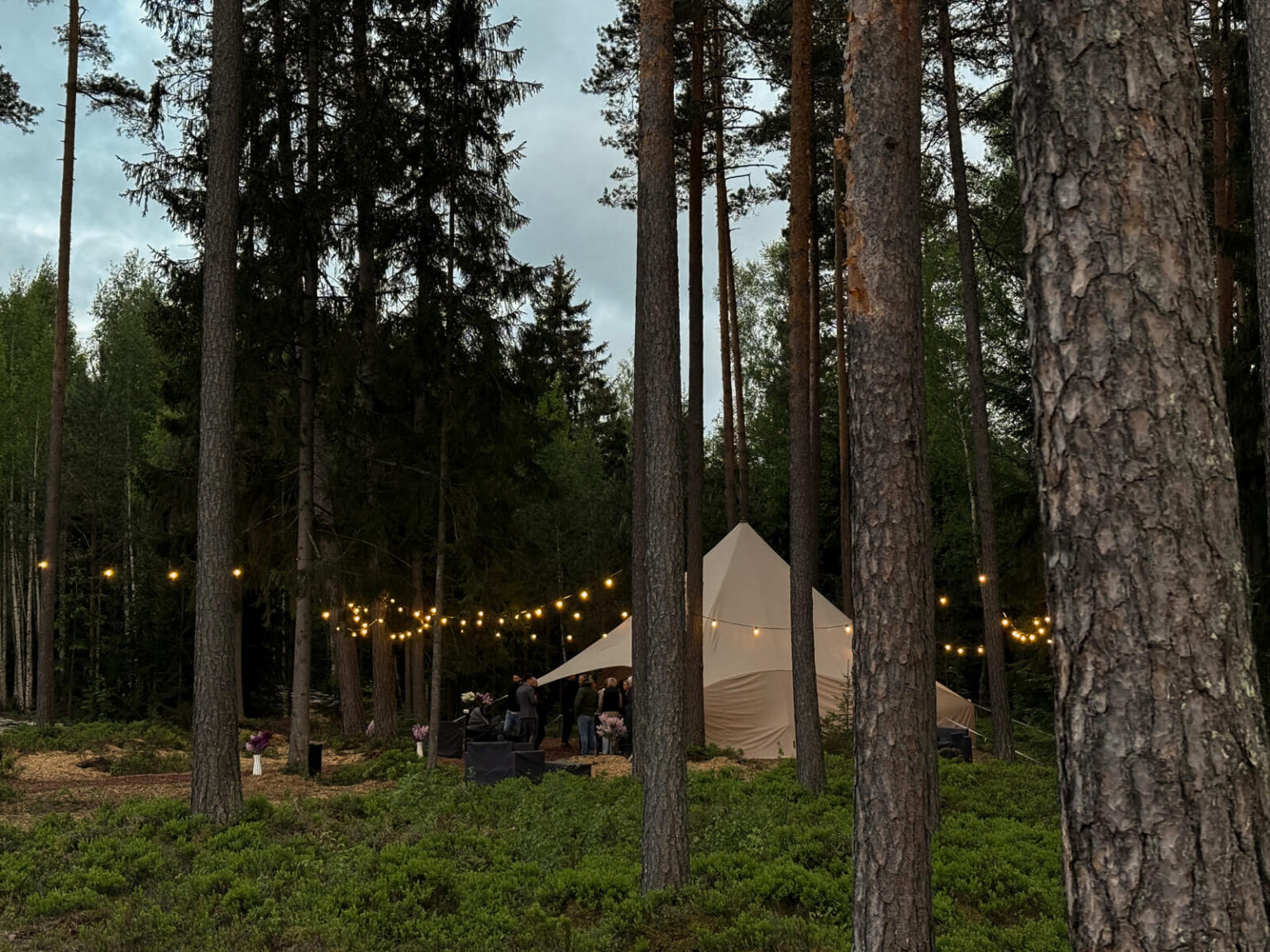 ForrestGlamp viesu nams Saulkrasti - vieta svinībām saulkrasti-29
