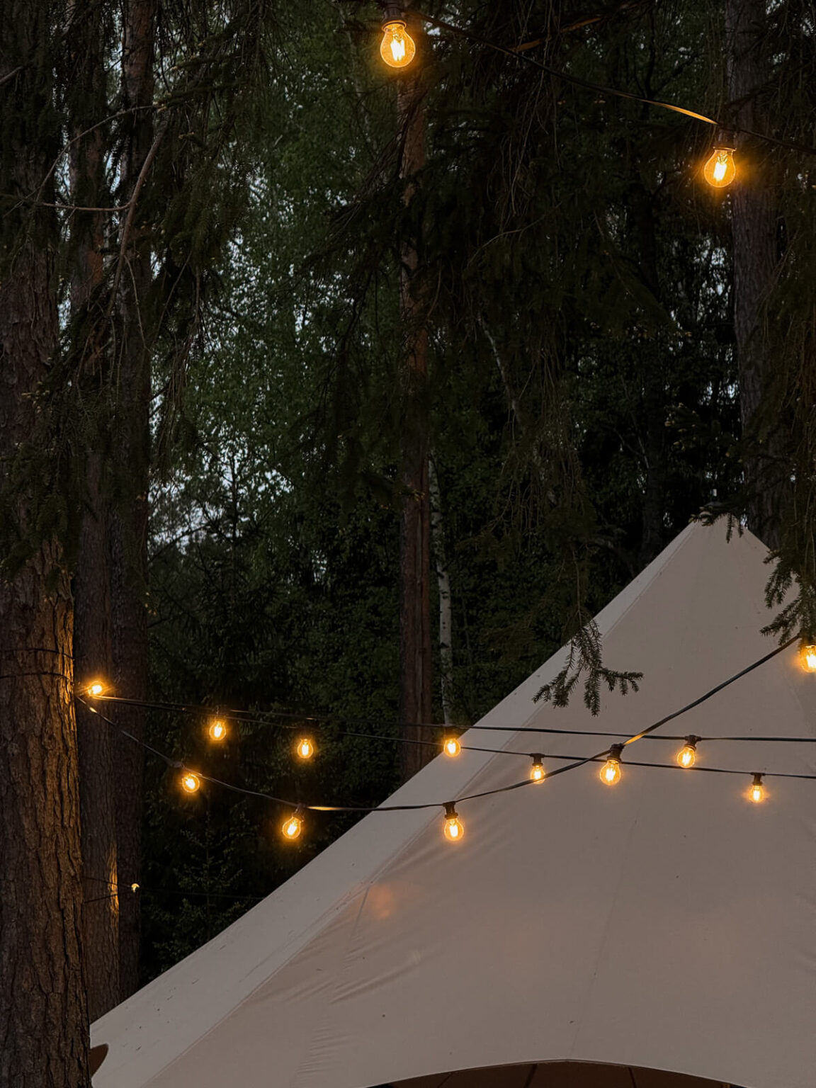 ForrestGlamp viesu nams Saulkrasti - vieta svinībām saulkrasti-30