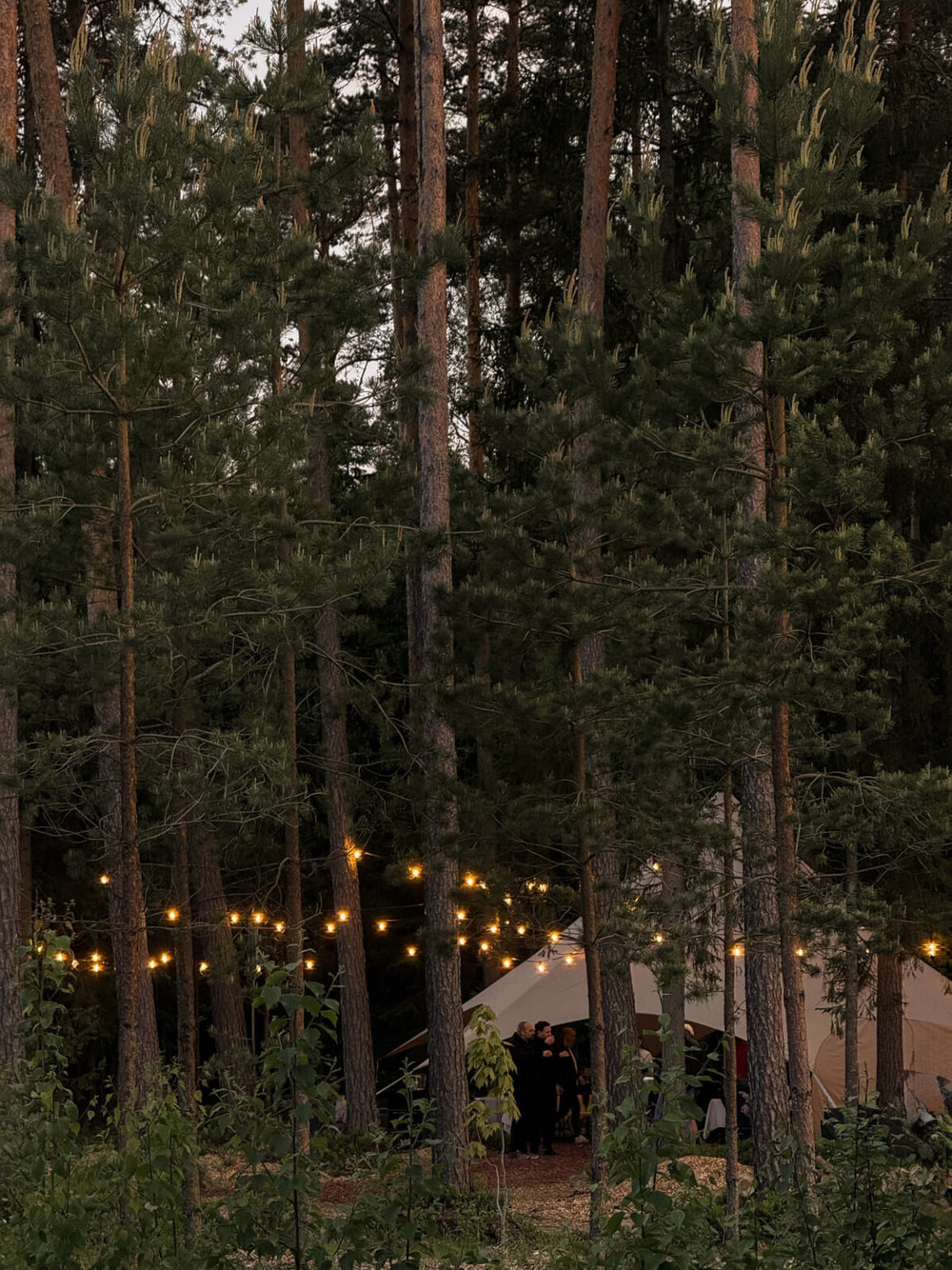 ForrestGlamp viesu nams Saulkrasti - vieta svinībām saulkrasti-32