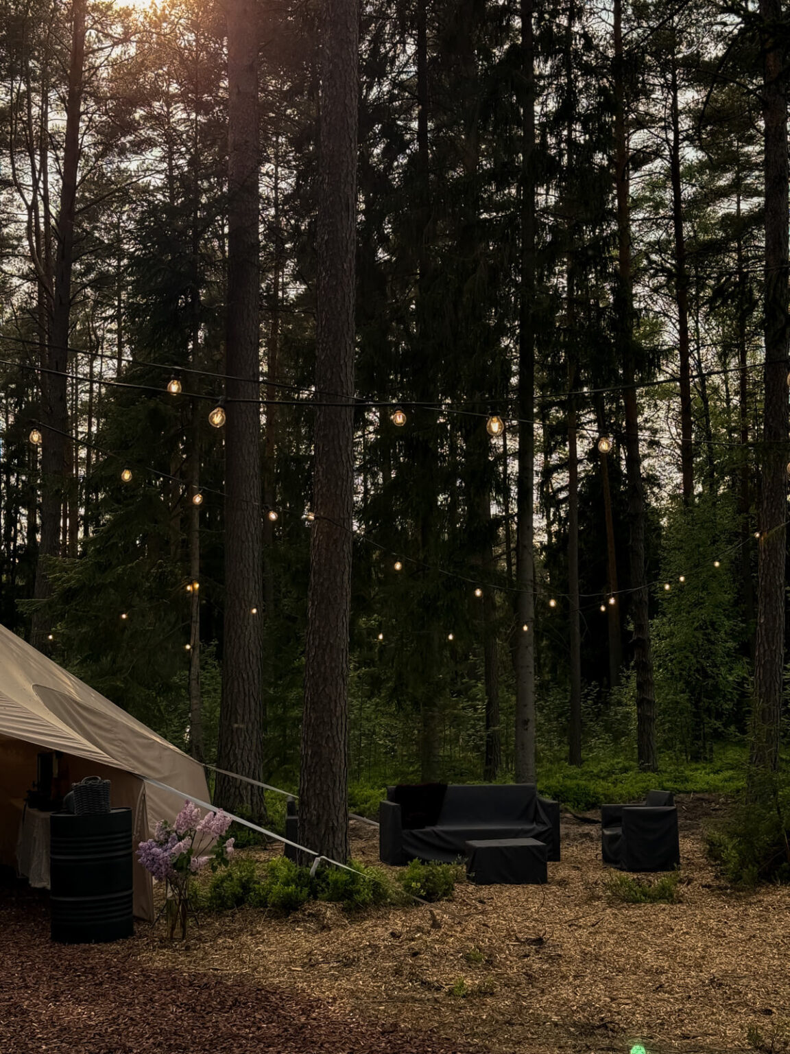 ForrestGlamp viesu nams Saulkrasti - vieta svinībām saulkrasti-4