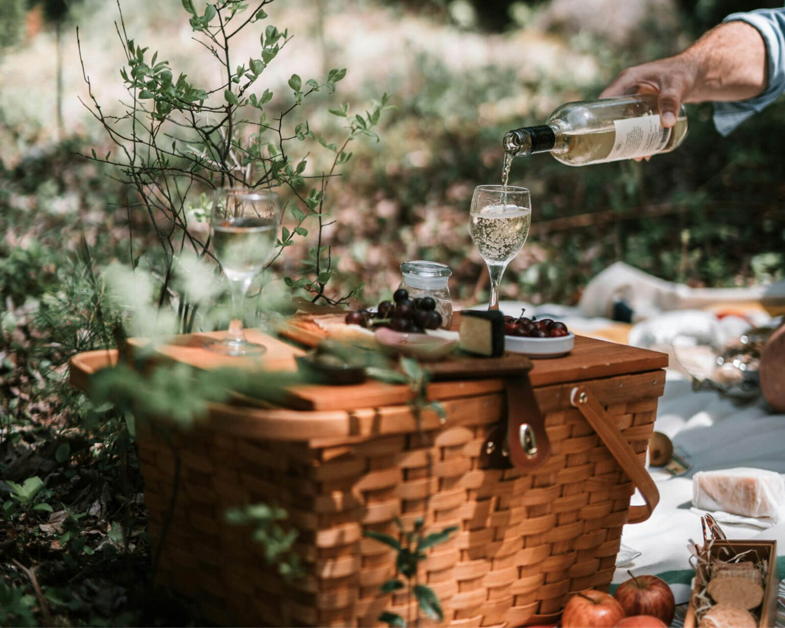ForrestGlamp viesu nams Saulkrasti - vieta svinībām saulkrasti-49