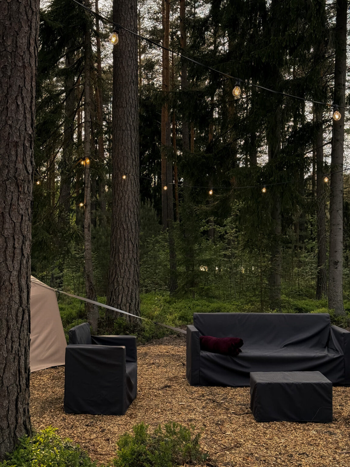 ForrestGlamp viesu nams Saulkrasti - vieta svinībām saulkrasti-5