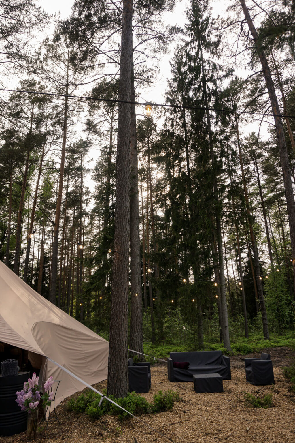 ForrestGlamp viesu nams Saulkrasti - vieta svinībām saulkrasti-6