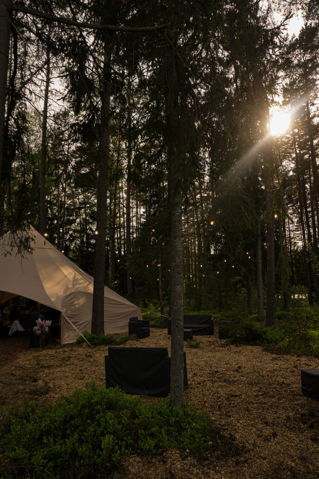 ForrestGlamp viesu nams Saulkrasti - vieta svinībām saulkrasti-7