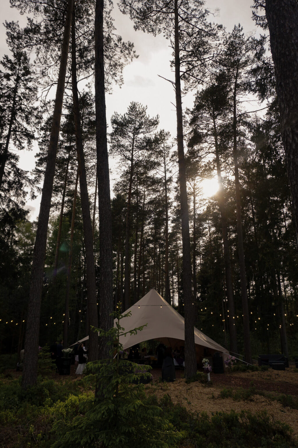 ForrestGlamp viesu nams Saulkrasti - vieta svinībām saulkrasti-8