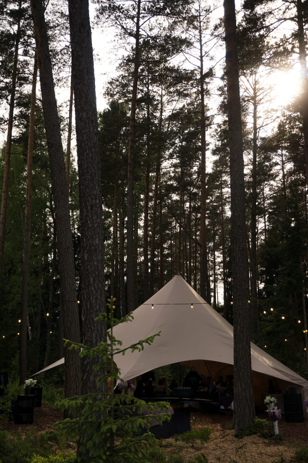 ForrestGlamp viesu nams Saulkrasti - vieta svinībām saulkrasti-9